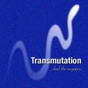 Transmutation, shed the negative - Audio MP3